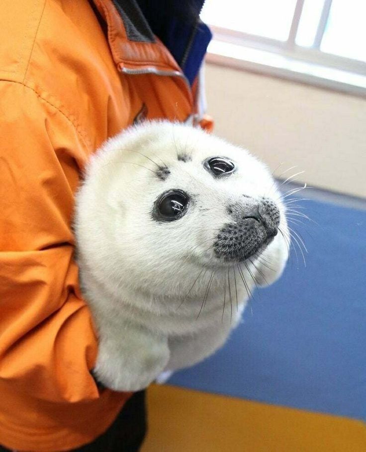 goodentity tweet media