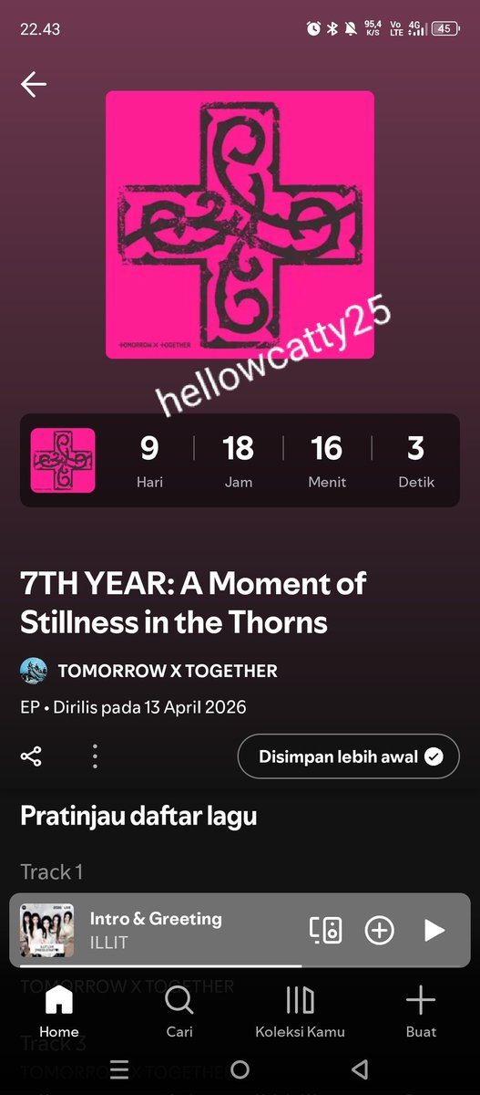 hellowcatty25 tweet media