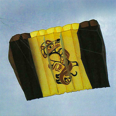 Kite Plan Base tweet media