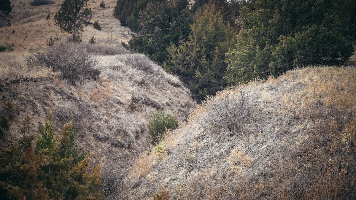 VanCamp402 tweet media