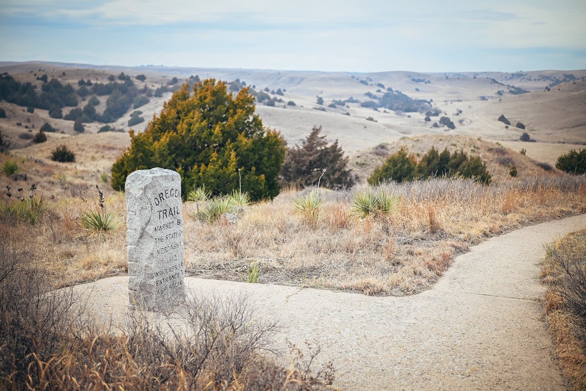 VanCamp402 tweet media