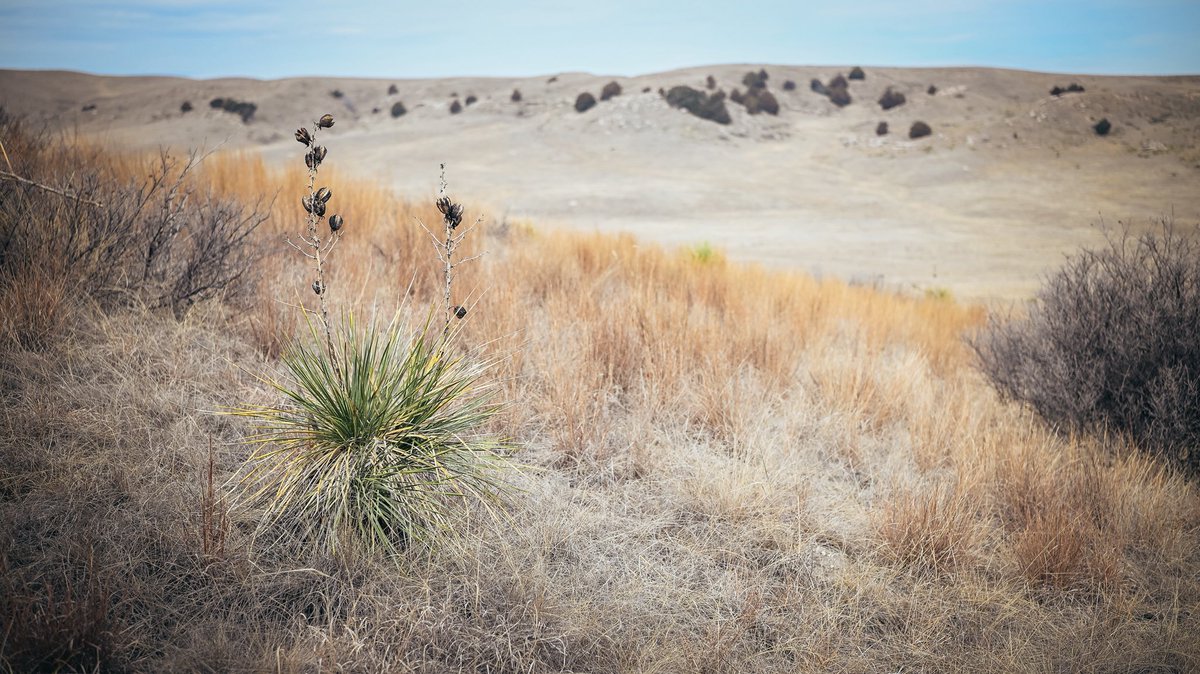 VanCamp402 tweet media