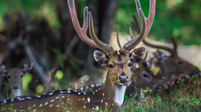 New Delhi Nature Society tweet media