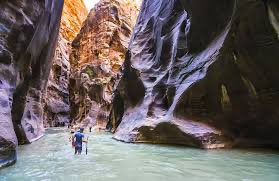 James Divis tweet media