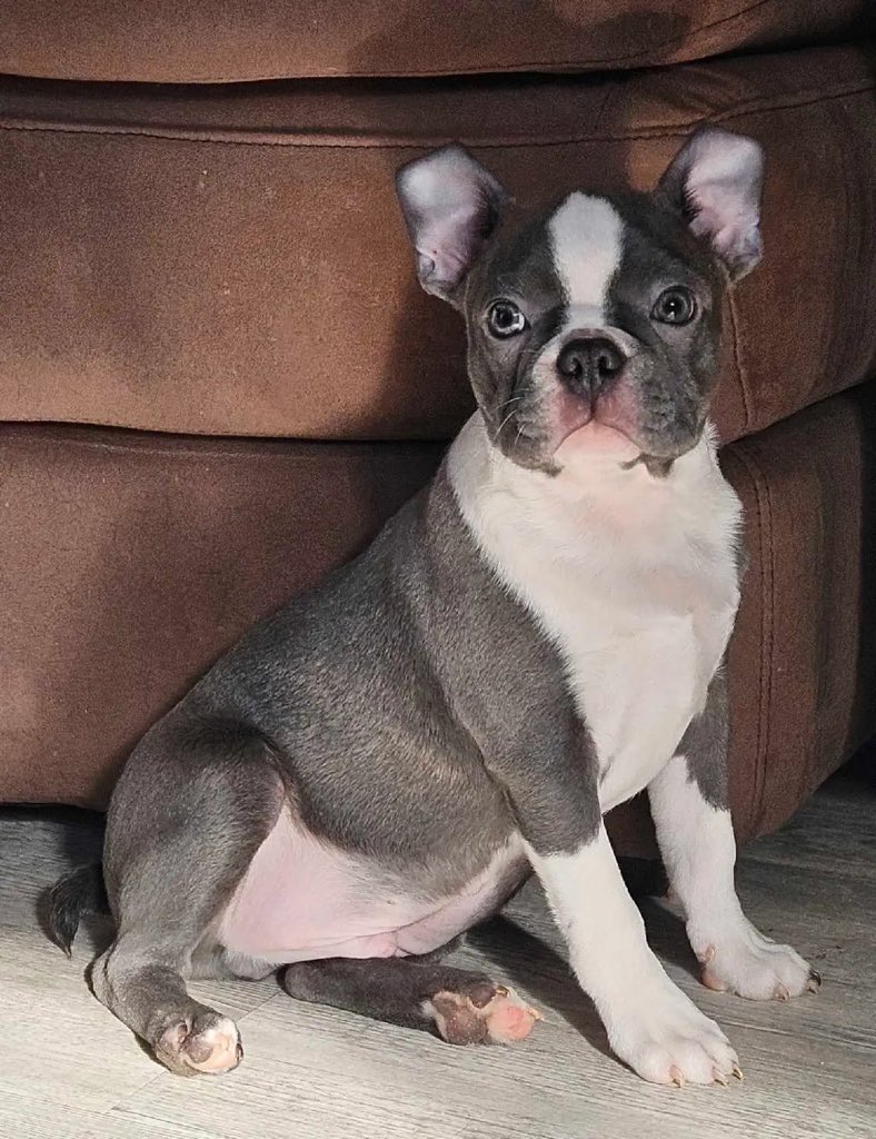 oh hey, its that guy 🇨🇦 tweet media