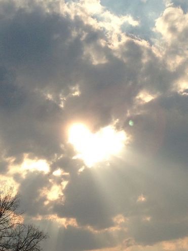 Aesthetics tweet media