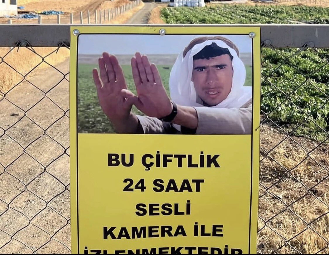 Postal Dostum tweet media