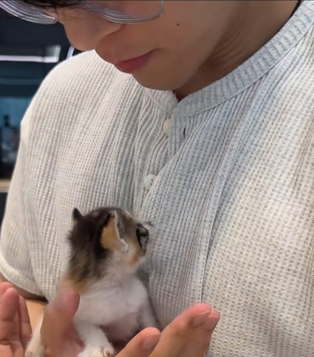 Looking for something? tweet media