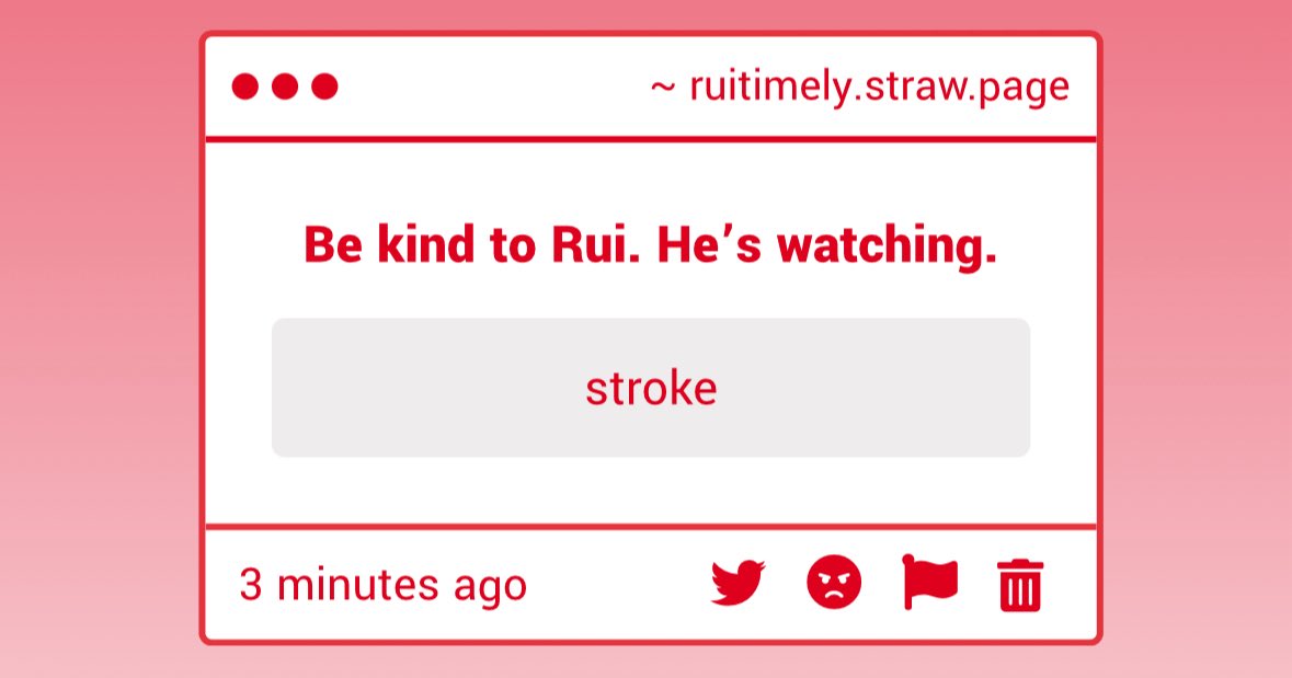 Timely Rui 🎈 tweet media