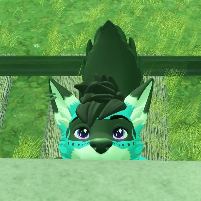 Kriegar Wolf tweet media