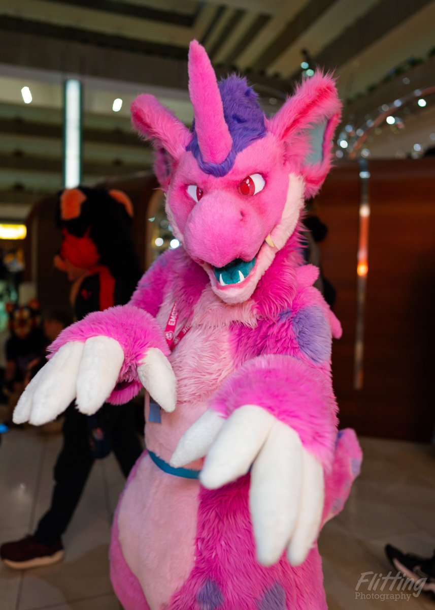 Rhubarb Nido tweet media