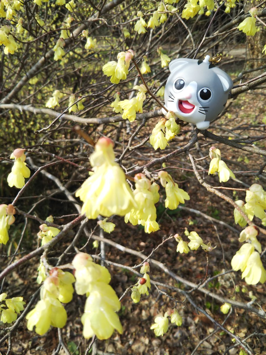 MusicLabo写真部 tweet media