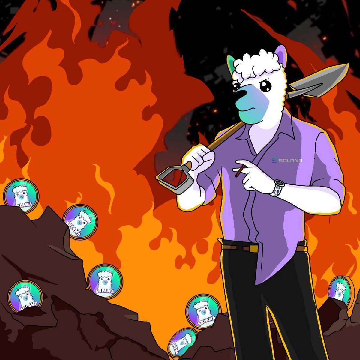 SOLAMA 🦙 tweet media