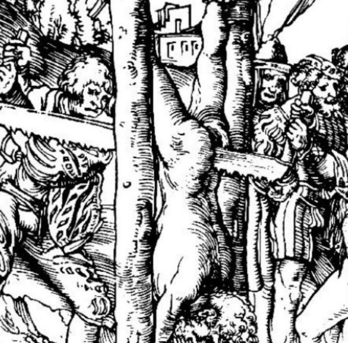 דנזל tweet media