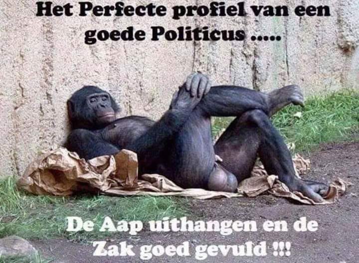 Donald097 tweet media