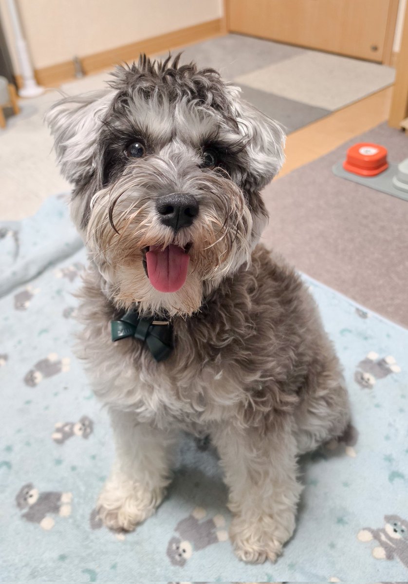 Mill_U._.U tweet media