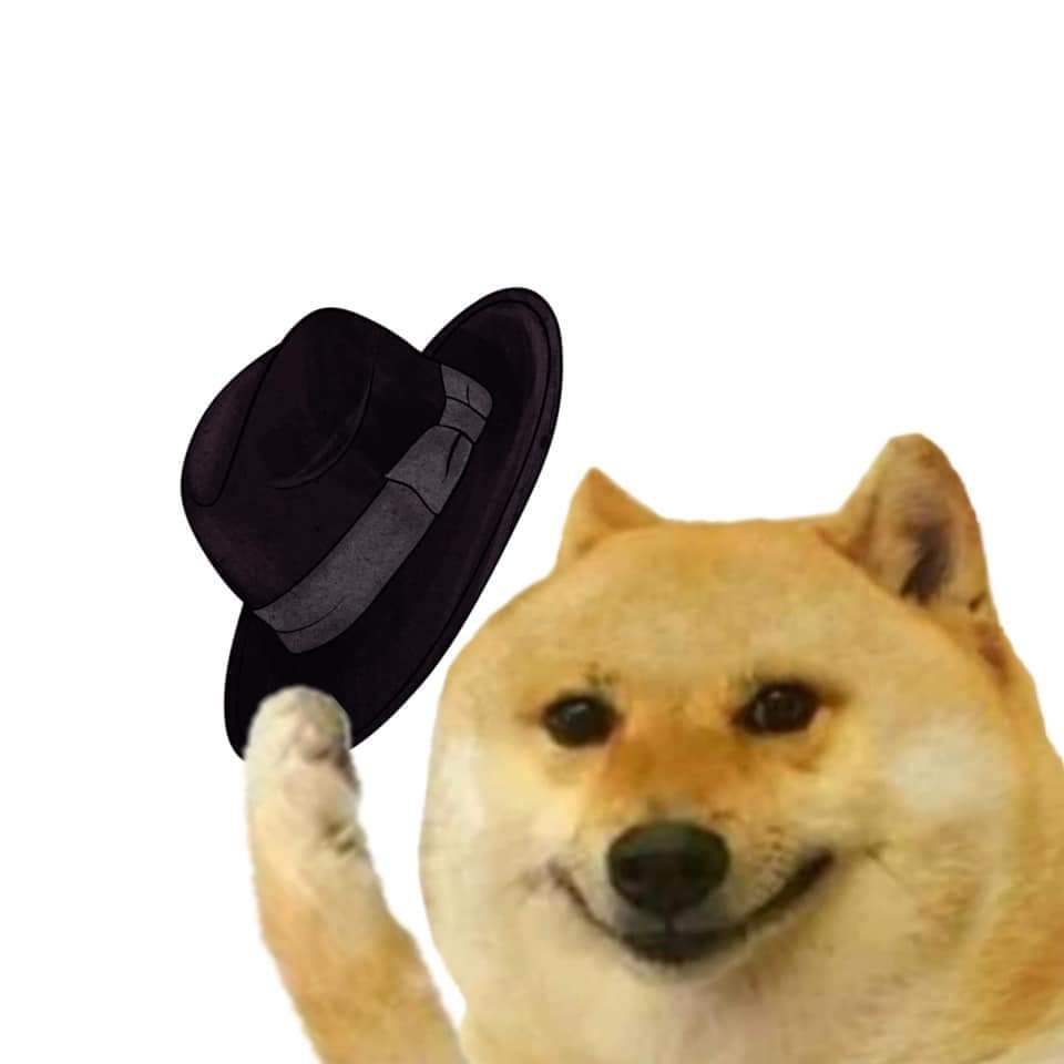 donald.pl tweet media