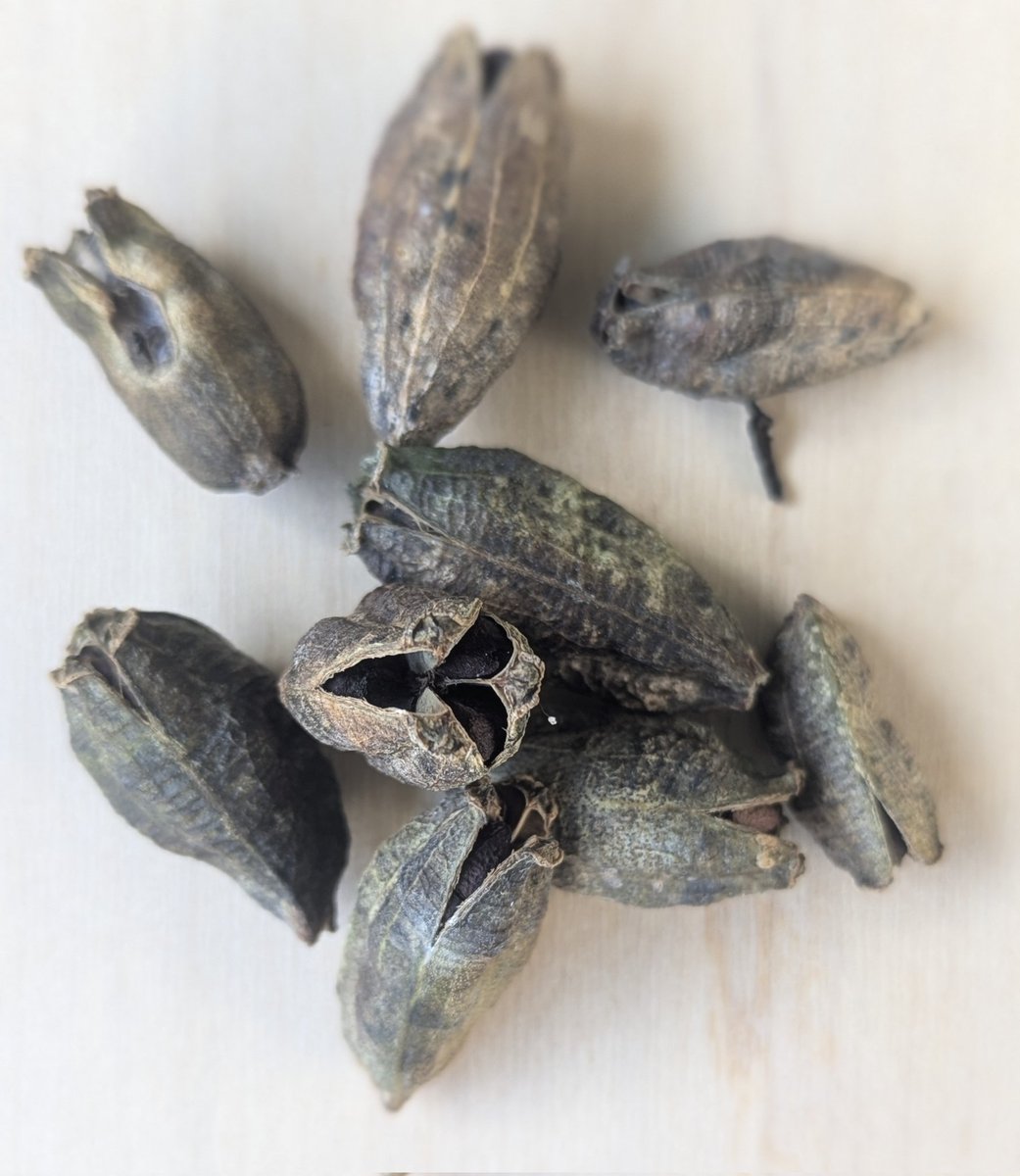 Colgala 🚲 tweet media