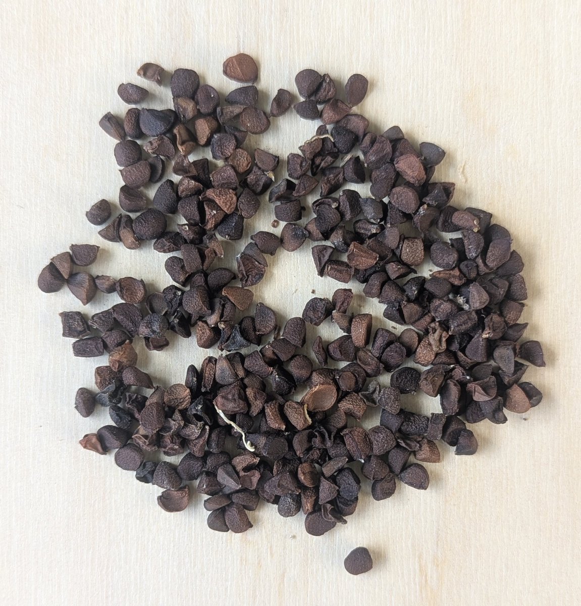 Colgala 🚲 tweet media