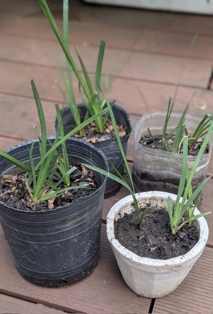 Colgala 🚲 tweet media