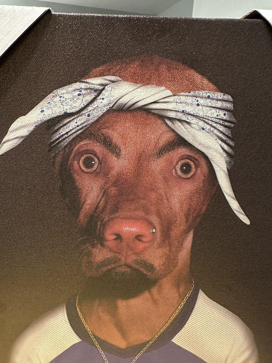 Penduline ⚡️ tweet media