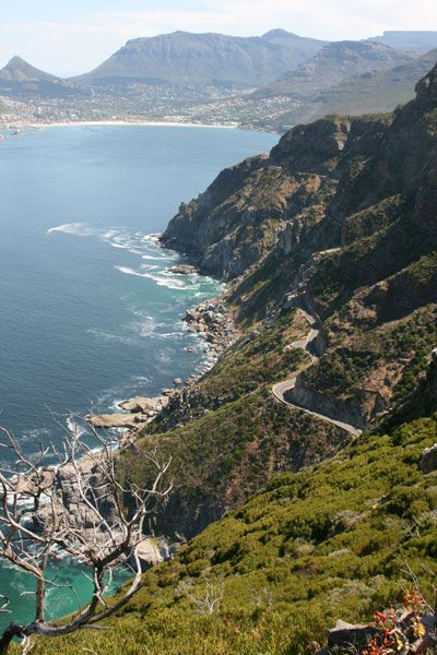 Cape International tweet media