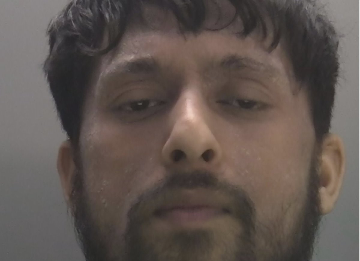 Peter Lloyd tweet media