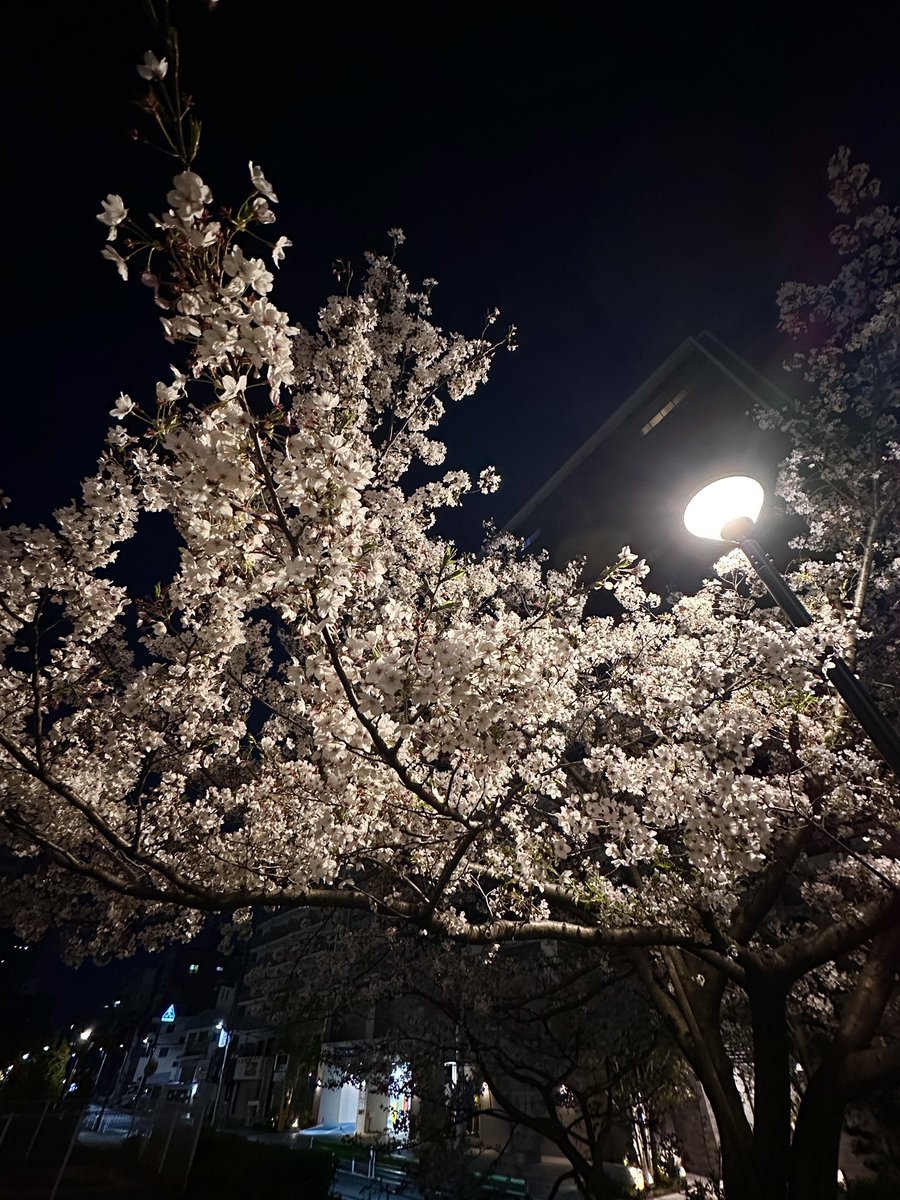 AcerJapan's tweet image. お疲れ様でした！
皆様良い週末をお過ごしください。
2Go #Acer