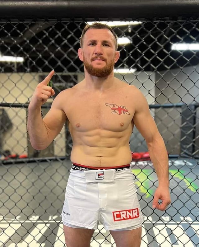 Furor Teutonicus tweet media