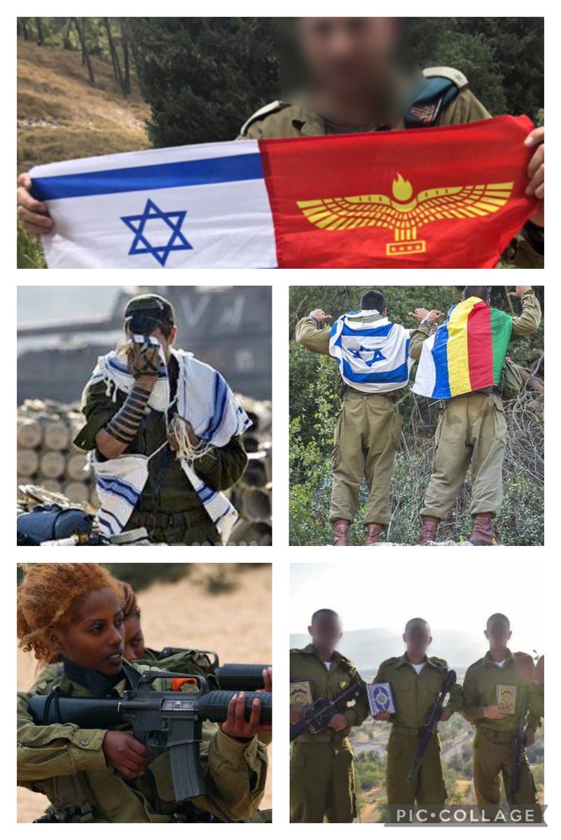 Yoni Tzioni 𓂆 يوني صهيوني • יוני ציוני tweet media