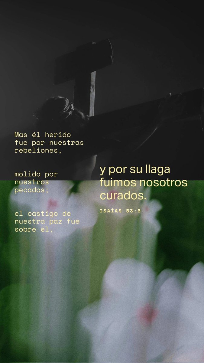 Luis Antonio Barreto tweet media