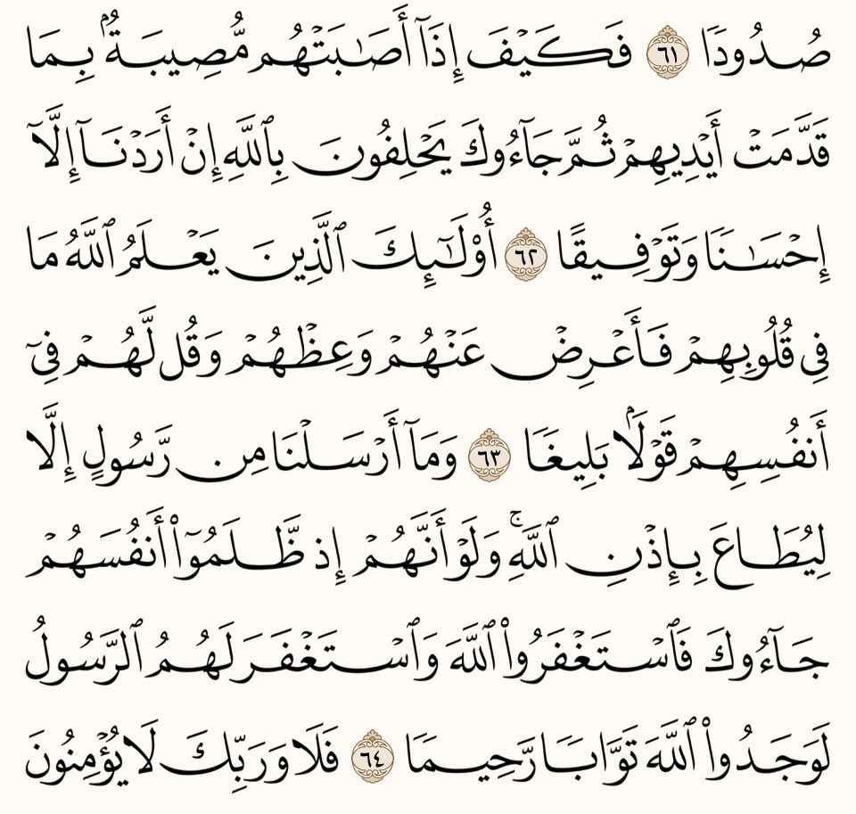 8im6.6 D tweet media