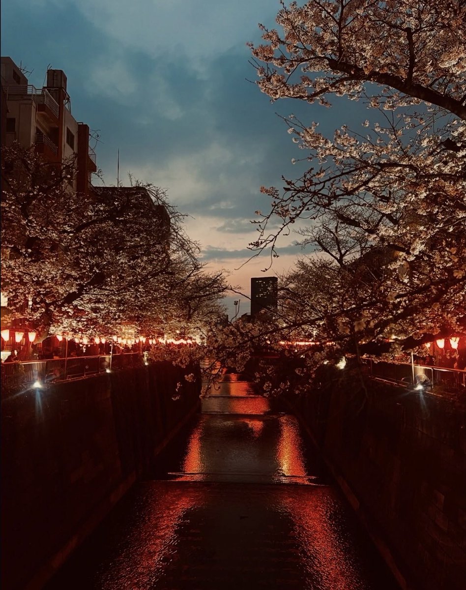 Nicholas Light @ JAPAN 🇯🇵 tweet media