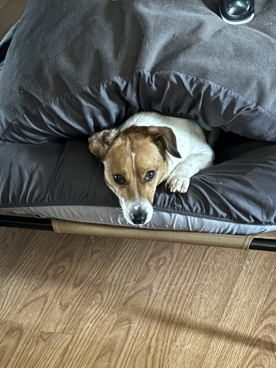 Burnin_T_Ranch tweet media