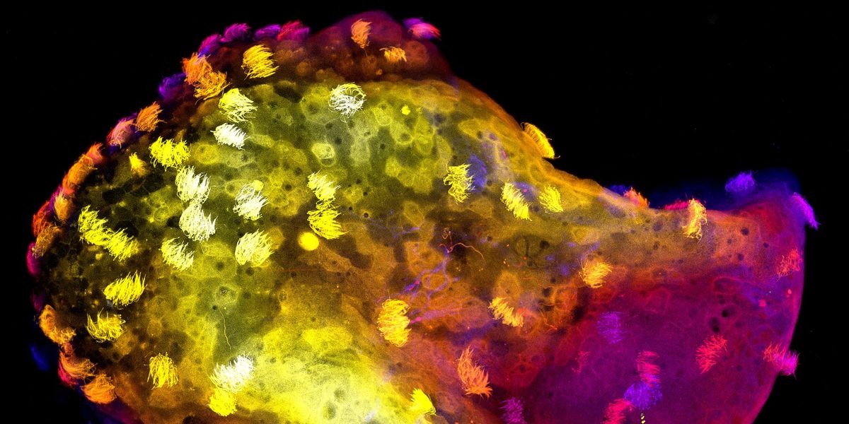 Katherine Stiles tweet media