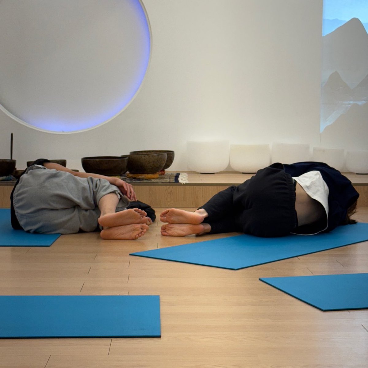 🐢🐶 tweet media