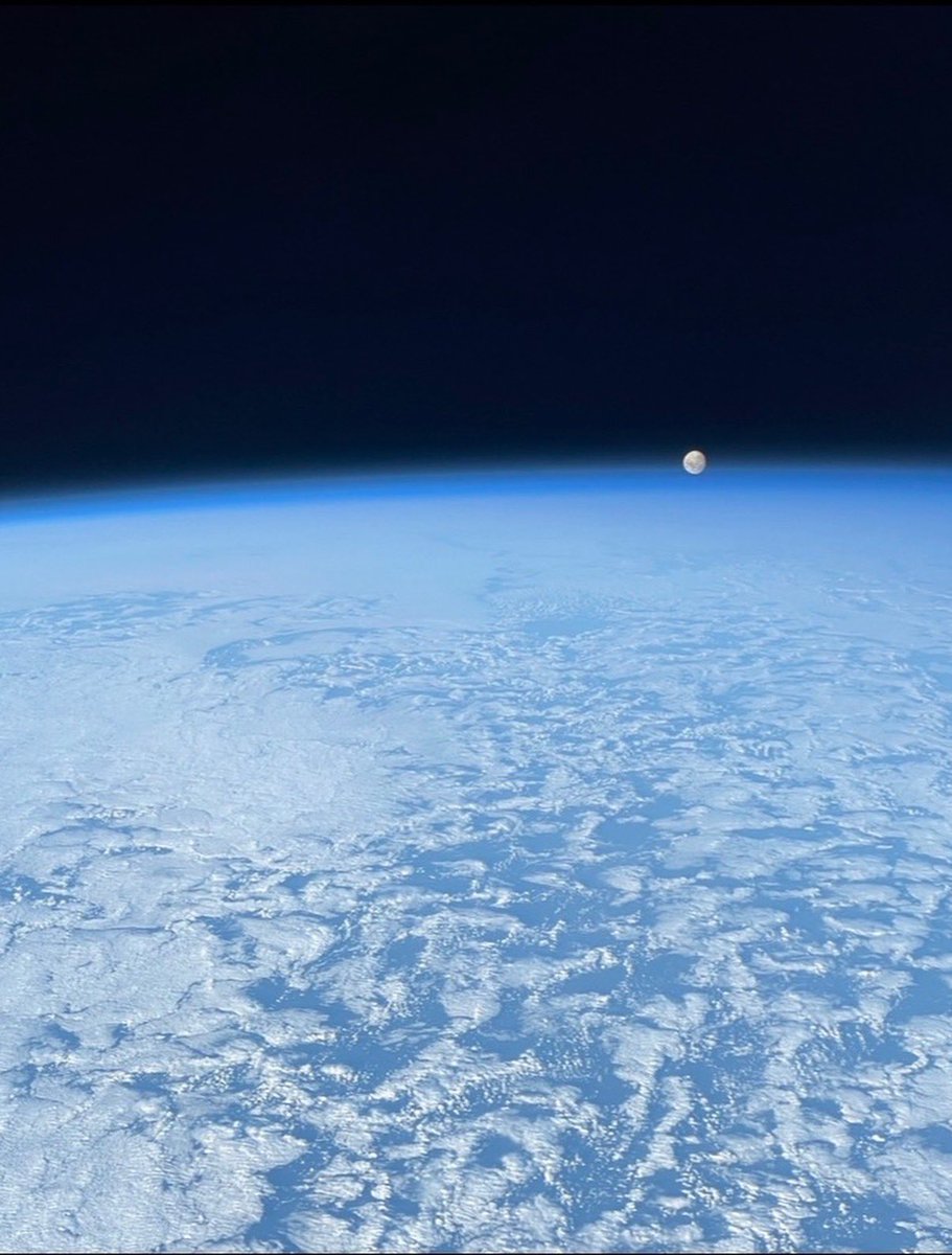 Hayley Arceneaux tweet media