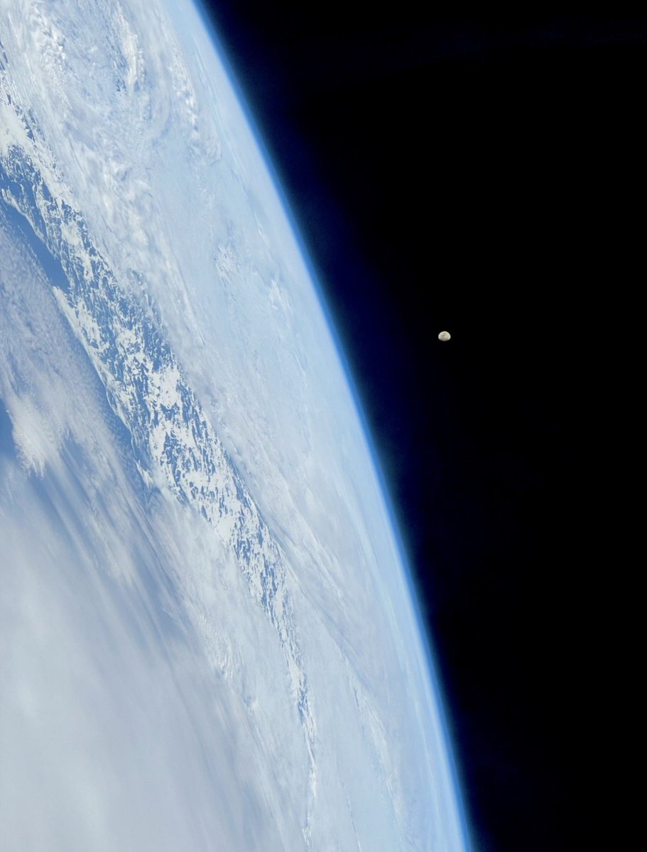 Hayley Arceneaux tweet media