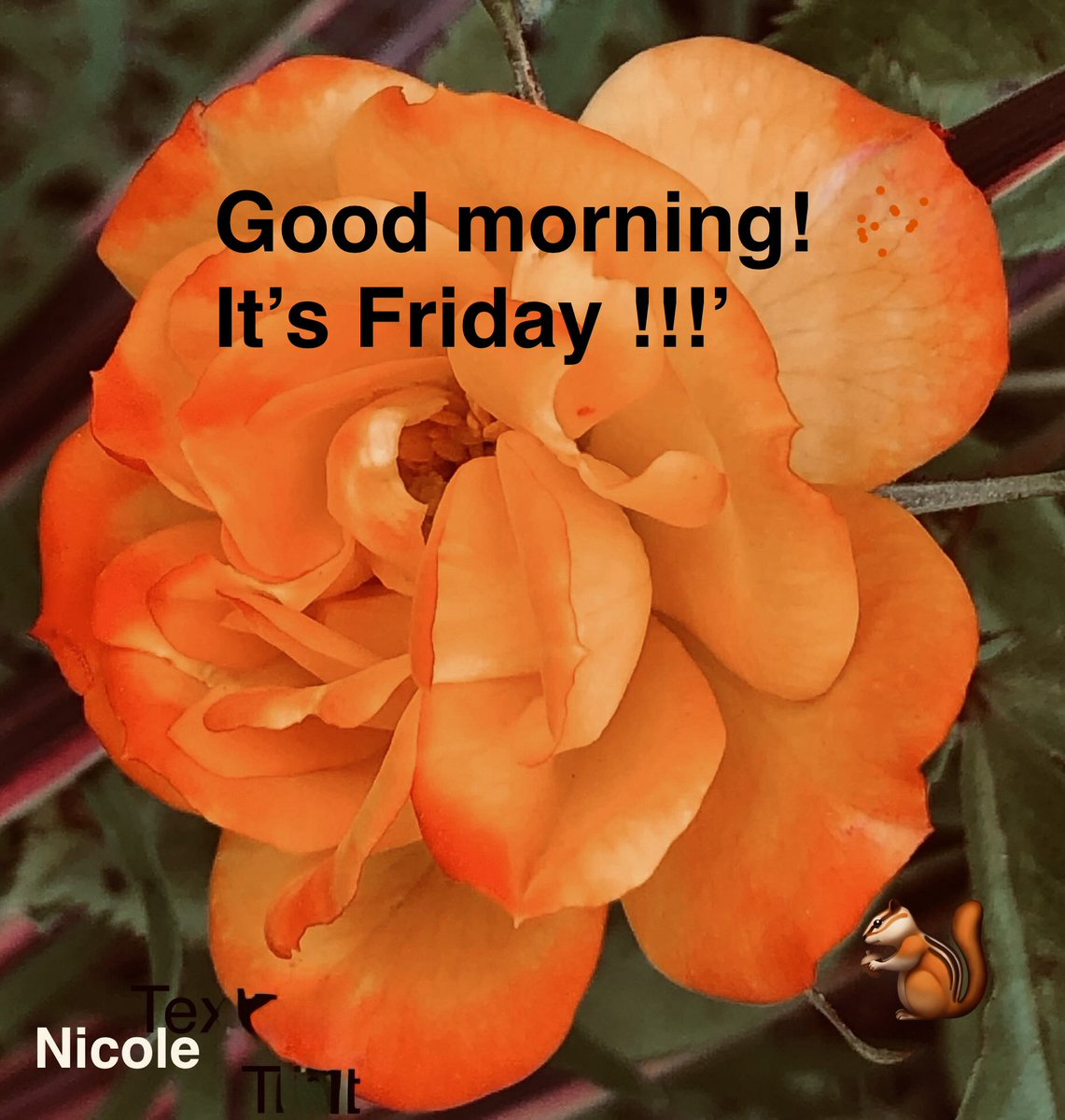 I’m Nicole❤️Happy Mind, Happy Soul tweet media