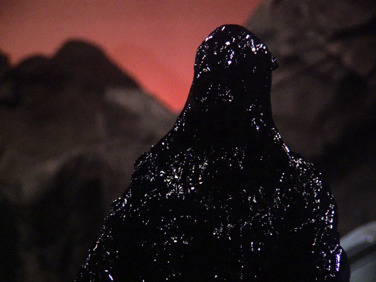 headhort tweet media