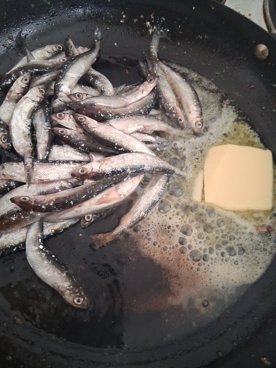 Kari Kyppö tweet media