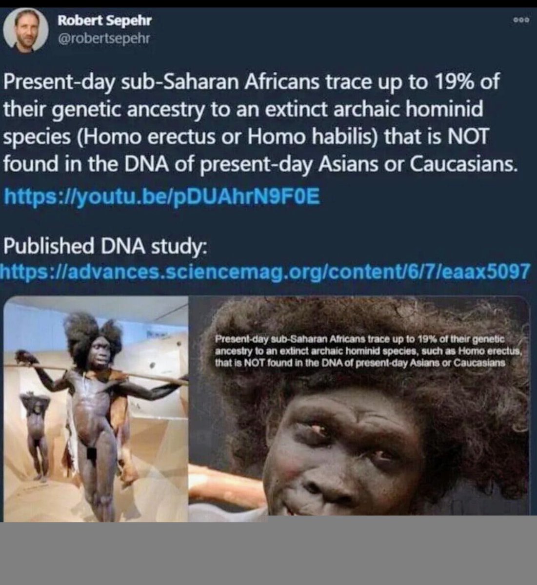 TETLIN SAPPER™ tweet media