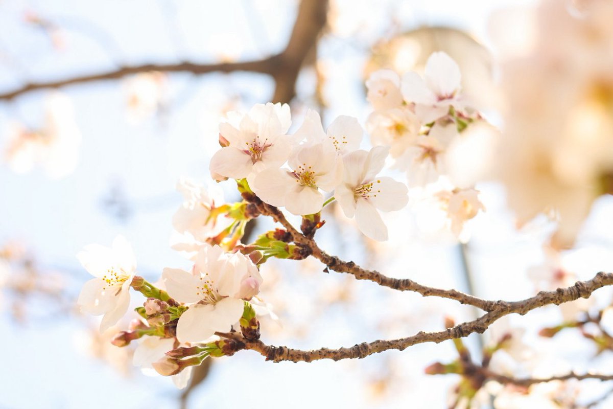 Maki Takano📷 tweet media