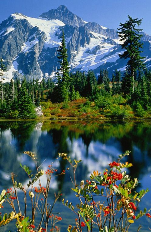 Earth Pic tweet media