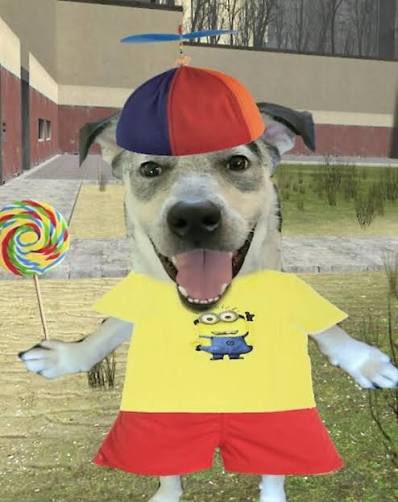 fran 🐀🩺 tweet media