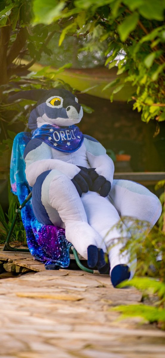 toby the otter🦦✈️ tweet media