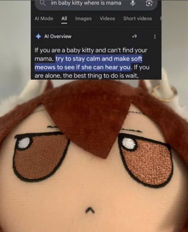 Chen the Space Nerd tweet media