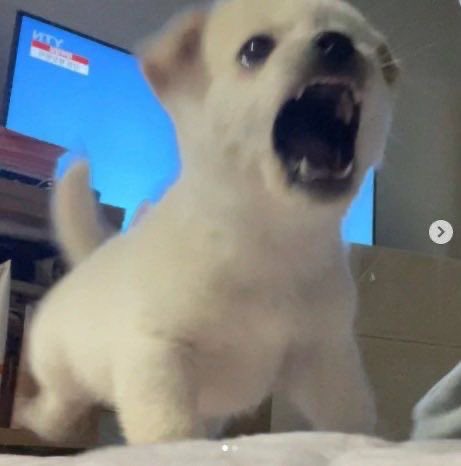 marie-ève tweet media