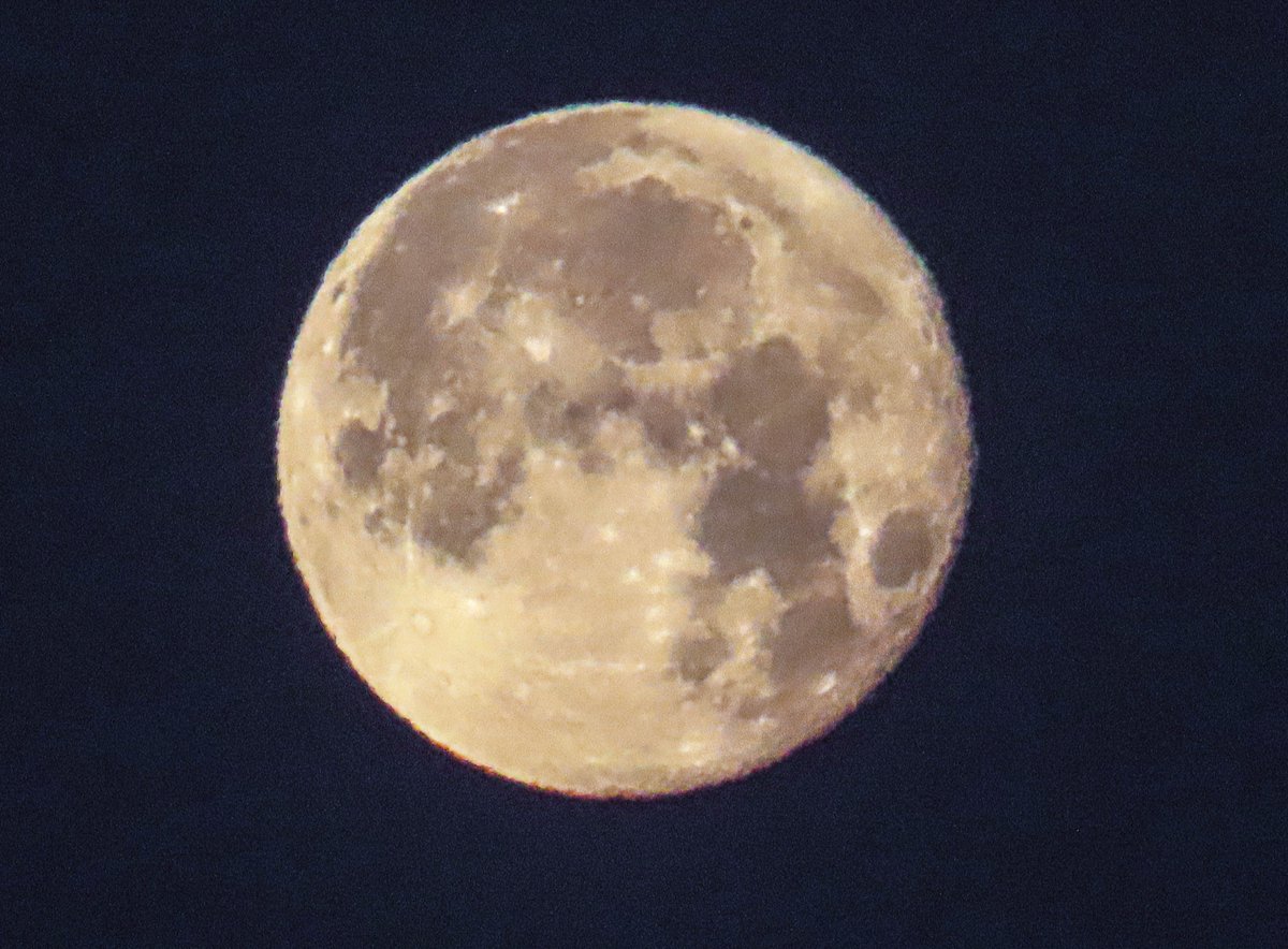 Antonio Rico tweet media