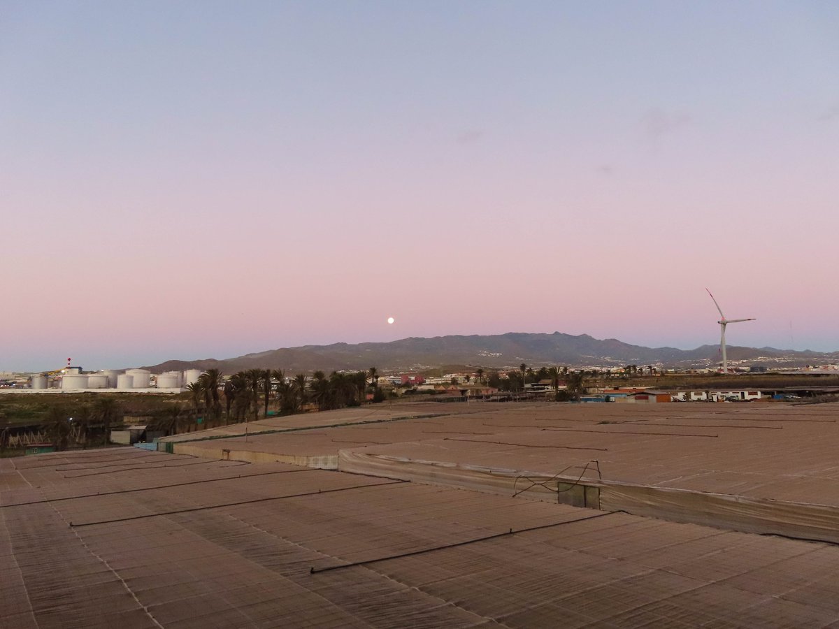 Antonio Rico tweet media